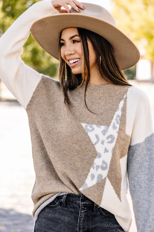 Doing Good Taupe Brown Colorblock Sweater